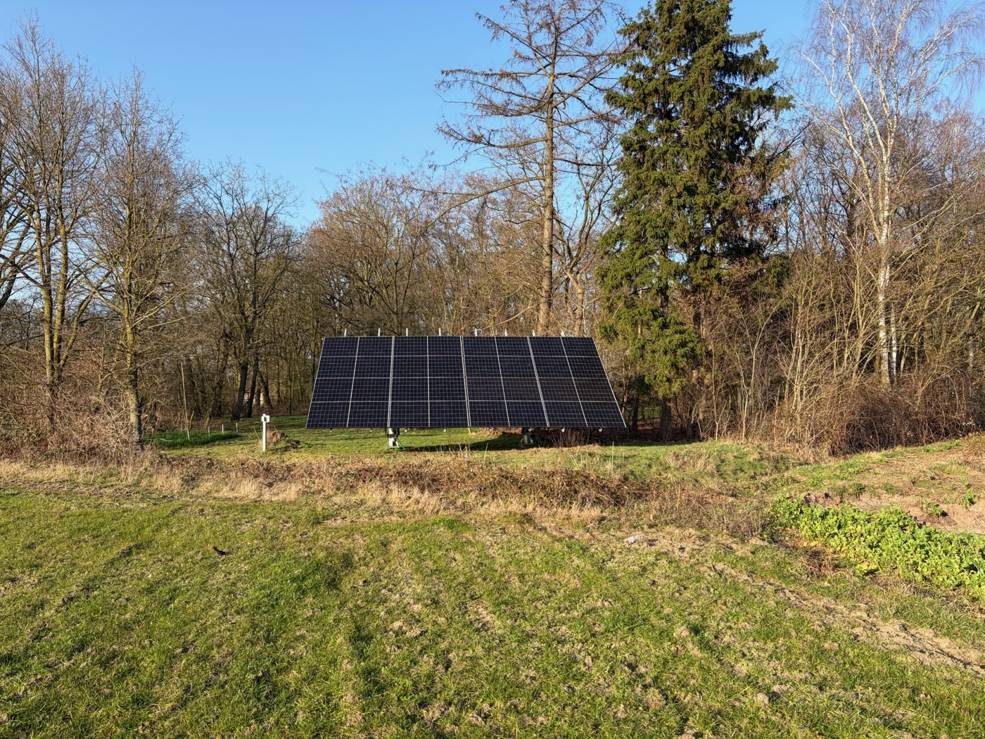 De opgeleverde grondopstelling met zonnepanelen aan de bosrand in Brabant